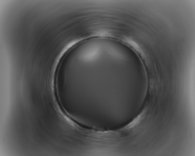 X0000088141331200705211128