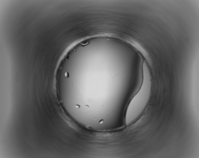 X0000088141332200705211128