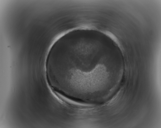 X0000088141335200705211128