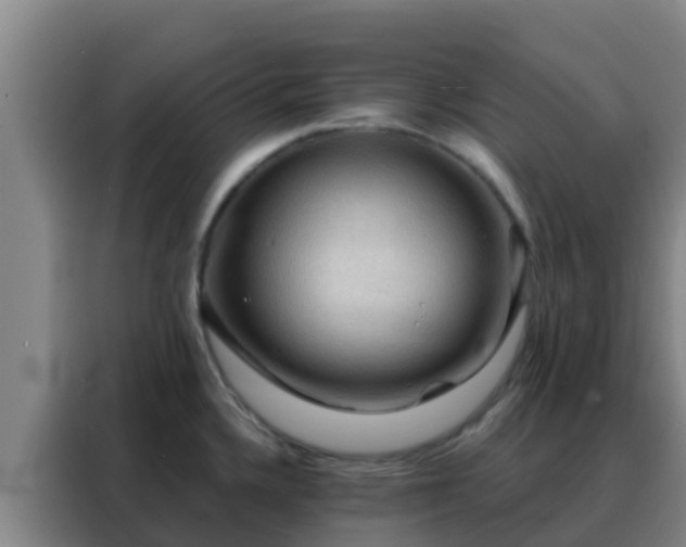 X0000088141336200705211128