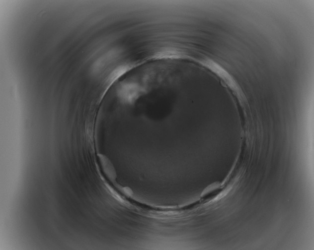 X0000088141337200705211128