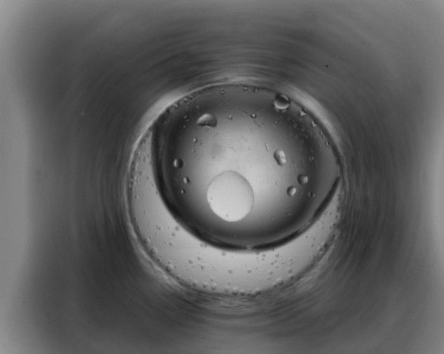 X0000088141338200705211128