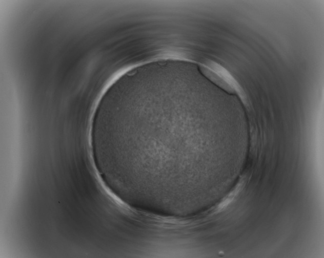 X0000088141339200705211128