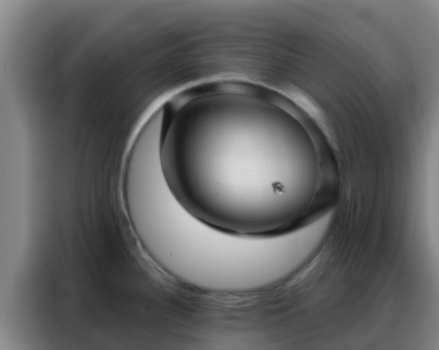 X0000088141340200705211128