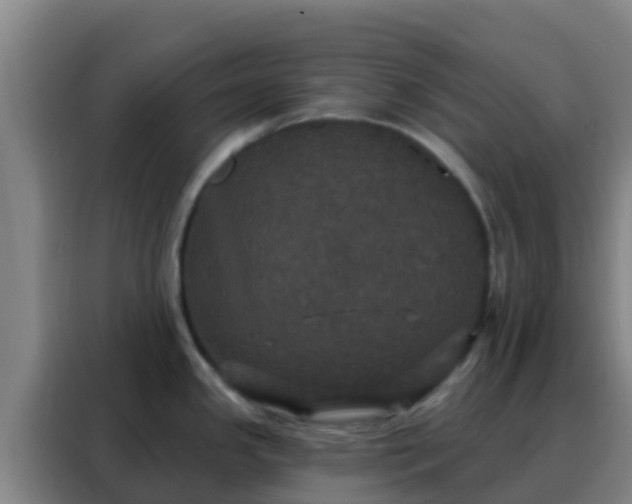 X0000088141341200705211128