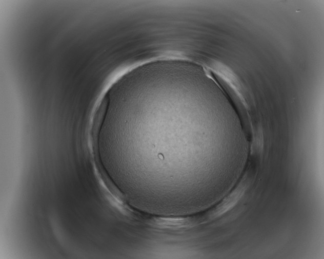 X0000088141342200705211128