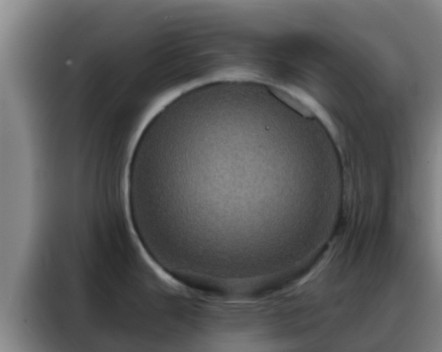 X0000088141343200705211128