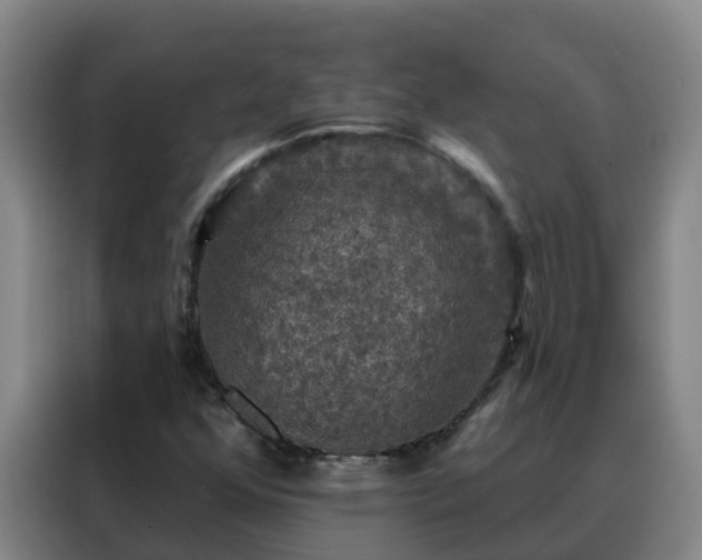 X0000088141352200705211127
