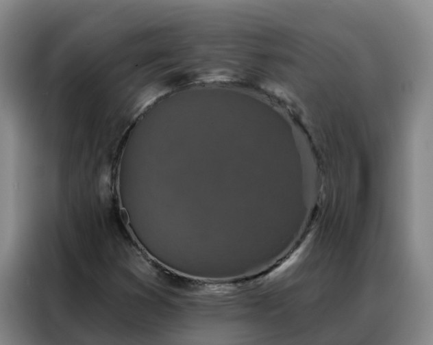 X0000088141353200705211127