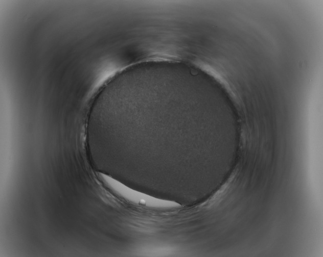 X0000088141355200705211127