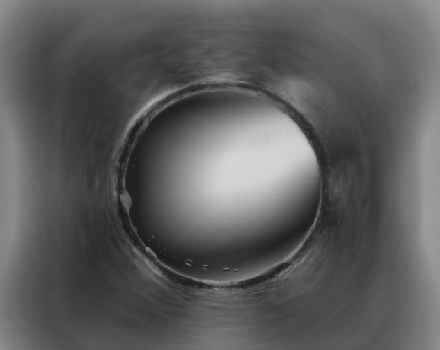 X0000088141356200705211127