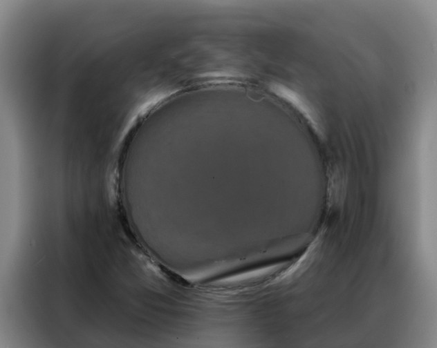 X0000088141357200705211127