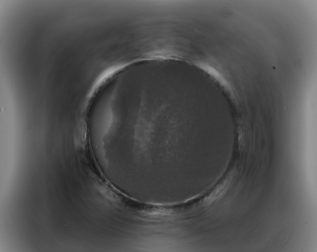 X0000088141358200705211127