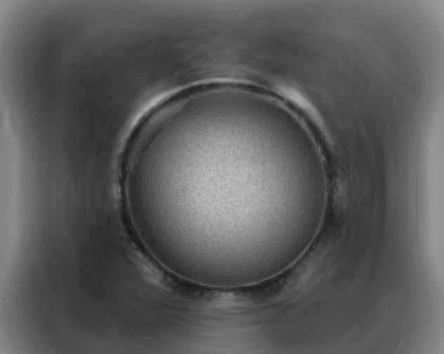 X0000088141360200705211127