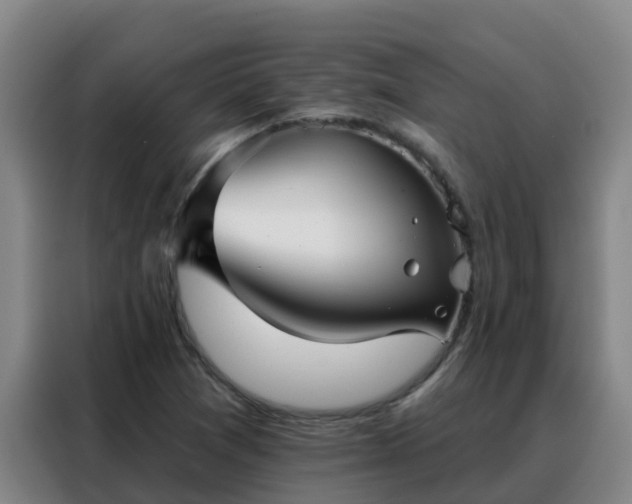 X0000088141361200705211127