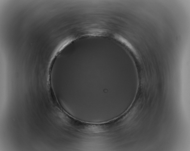 X0000088141362200705211127