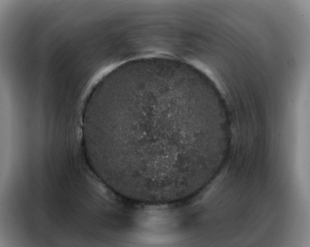 X0000088141363200705211127