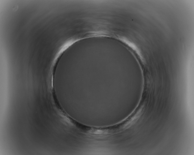 X0000088141365200705211127