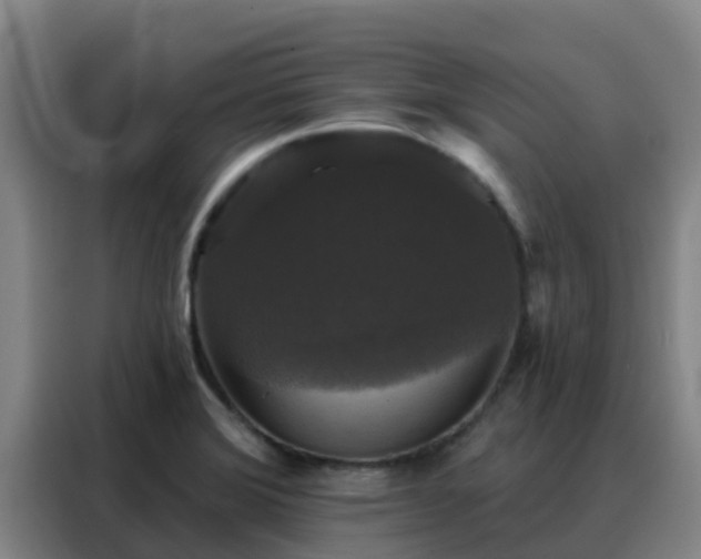 X0000088141372200705211127