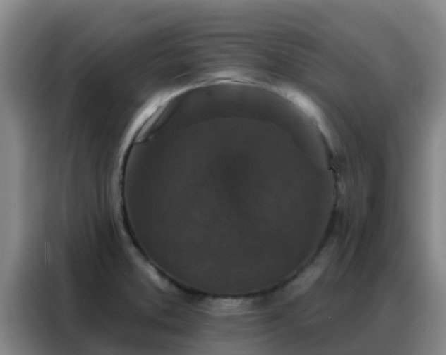 X0000088141373200705211127