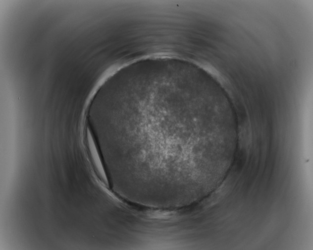 X0000088141374200705211127