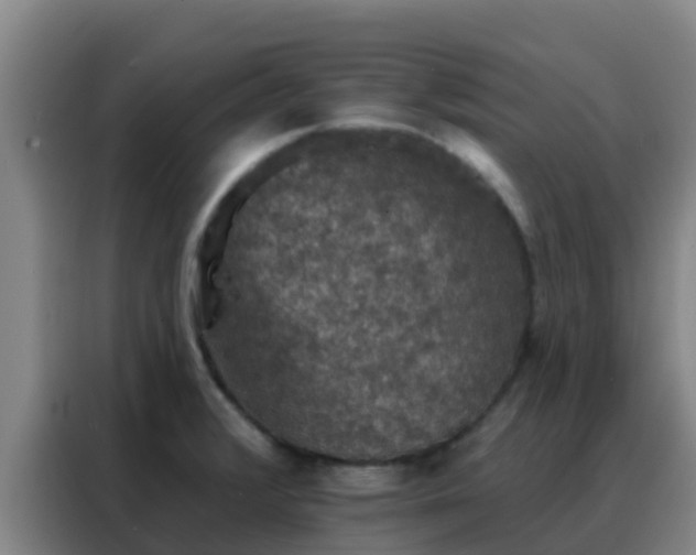X0000088141376200705211127