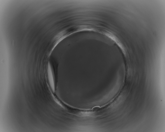 X0000088141377200705211127