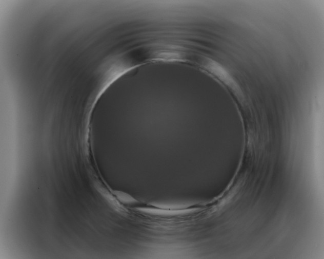 X0000088141378200705211127