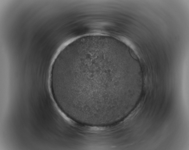 X0000088141379200705211127