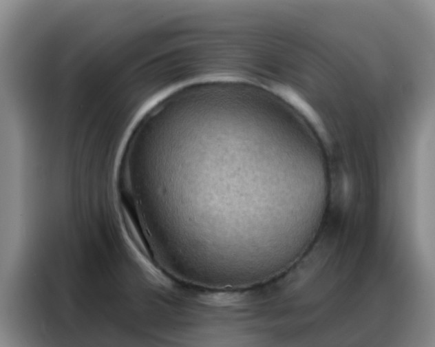 X0000088141380200705211127