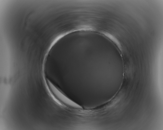 X0000088141383200705211127