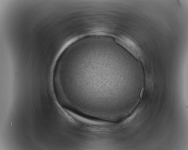 X0000088141384200705211127