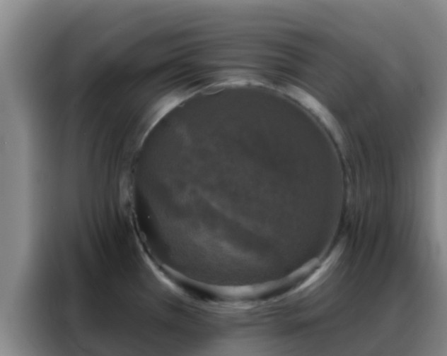 X0000088141385200705211127