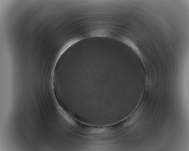 X0000088141386200705211127