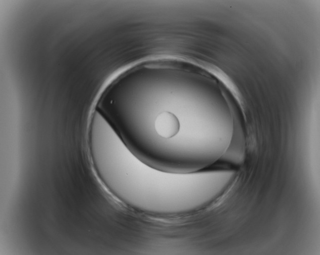 X0000088141388200705211127
