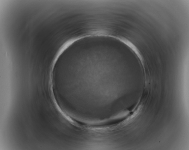 X0000088141389200705211127
