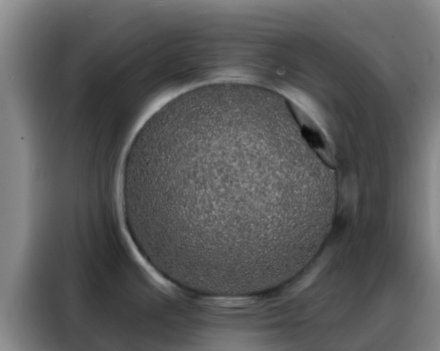 X0000088141391200705211127
