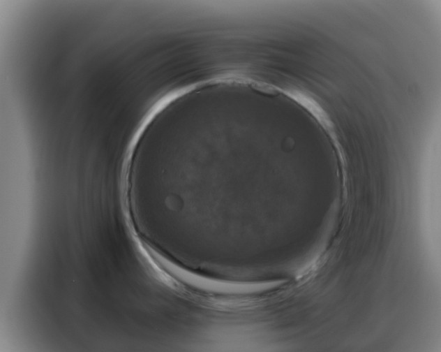 X0000088141392200705211127