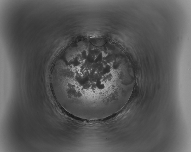 X0000088141393200705211126