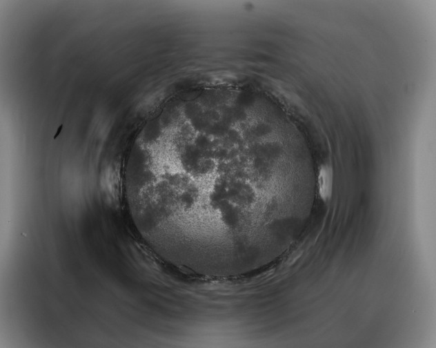 X0000088141395200705211126