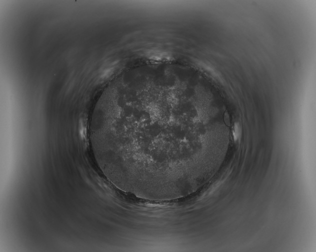 X0000088141396200705211126