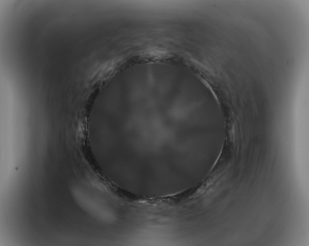 X0000088141397200705211126