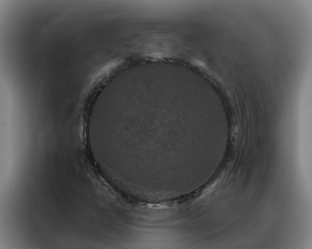 X0000088141398200705211126