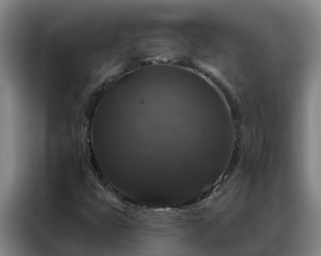 X0000088141399200705211126