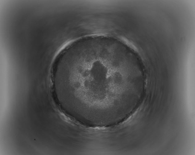 X0000088141400200705211126