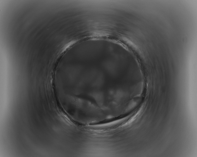 X0000088141401200705211126