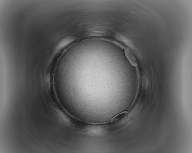 X0000088141402200705211126