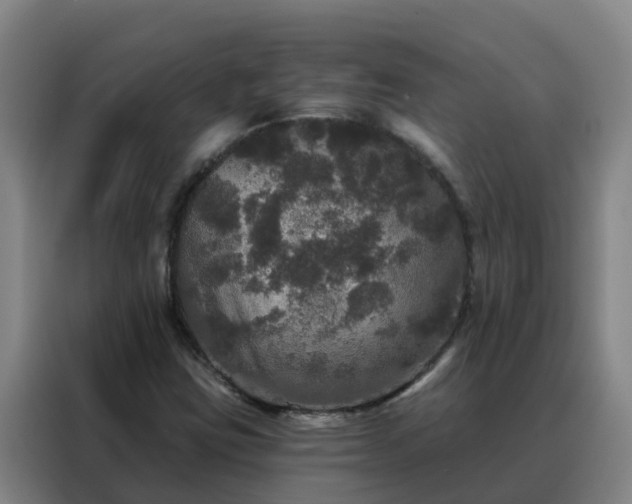 X0000088141403200705211126