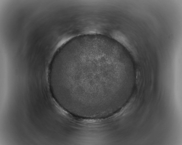 X0000088141404200705211126
