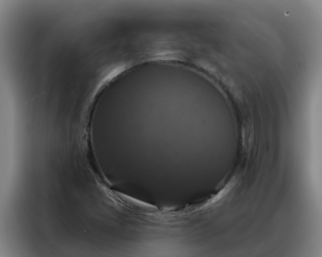 X0000088141405200705211126
